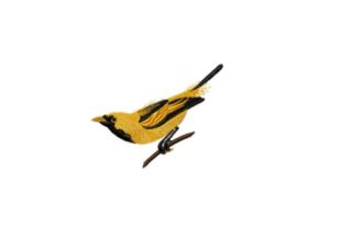 Golden Haired Flycatcher Embroidery Review
