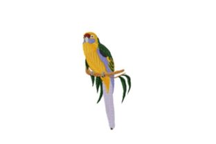 Green Rosella Embroidery Review for Boutique Apparel