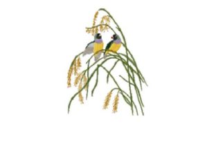 Painted Finch Embroidery Review for Apparel Projects